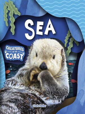 cover image of Sea